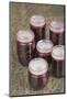 Jars of blackberry jam with household wax (paraffin) on top to act as a seal.-Janet Horton-Mounted Photographic Print