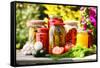 Jars Of Pickled Vegetables In The Garden. Marinated Food-monticello-Framed Stretched Canvas