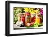 Jars Of Pickled Vegetables In The Garden. Marinated Food-monticello-Framed Photographic Print