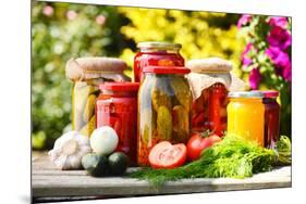 Jars Of Pickled Vegetables In The Garden. Marinated Food-monticello-Mounted Photographic Print