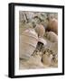 Jars Unearthed at the Archaeological Site of Akrotiri on Thera-null-Framed Giclee Print