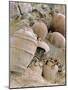 Jars Unearthed at the Archaeological Site of Akrotiri on Thera-null-Mounted Giclee Print