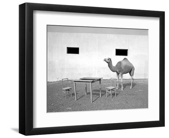 Premium Photographic Print, , large