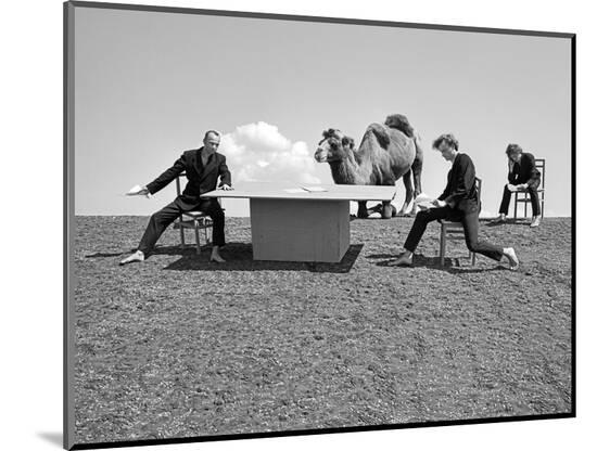 Photographic Print, , large