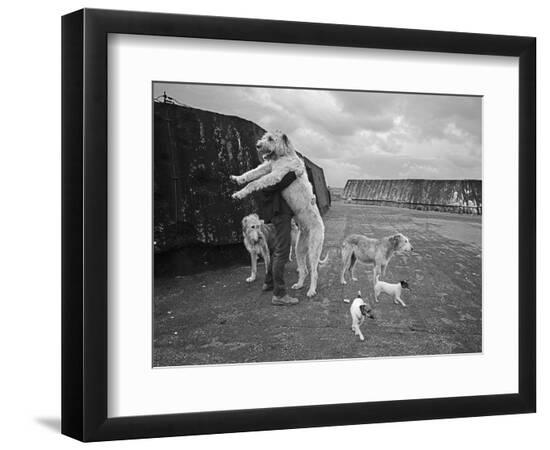 Photographic Print, , large