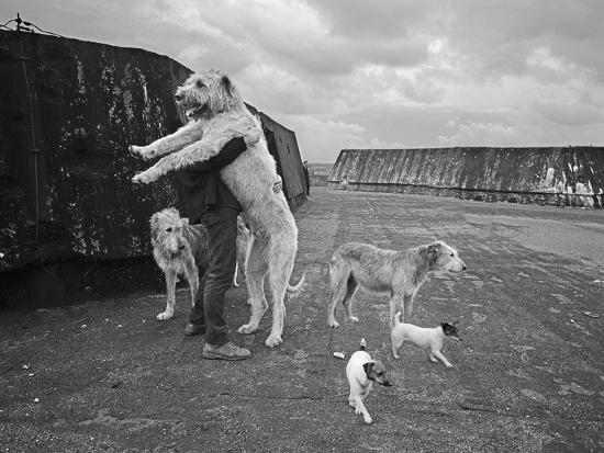 Premium Photographic Print, , large