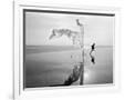 Gramercy White
