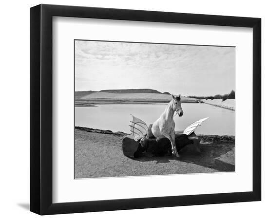 Photographic Print, , large