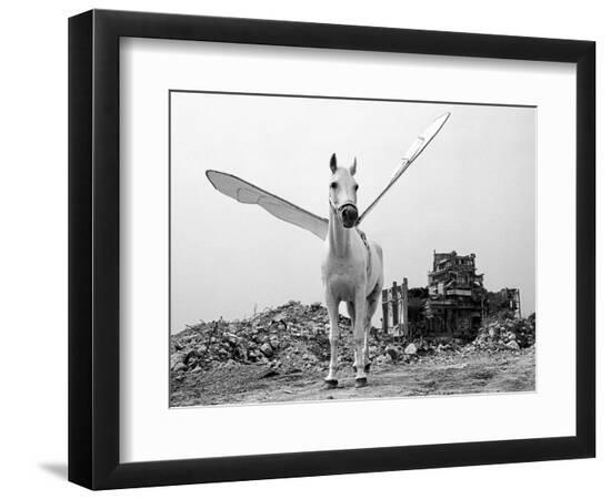 Photographic Print, , large