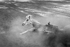 Pferd-Traum 9-Jaschi Klein-Photographic Print