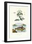 Jasmine, 1833-39-null-Framed Giclee Print