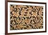 Jasmine Trail Curtain Design, 1868-70 (Printed Cotton)-William Morris-Framed Giclee Print