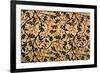 Jasmine Trail Curtain Design, 1868-70 (Printed Cotton)-William Morris-Framed Giclee Print