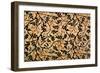 Jasmine Trail Curtain Design, 1868-70 (Printed Cotton)-William Morris-Framed Giclee Print