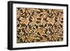 Jasmine Trail Curtain Design, 1868-70 (Printed Cotton)-William Morris-Framed Giclee Print