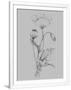 Gramercy White