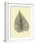 Chelsea White