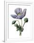 Gramercy White