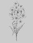 Just the Print