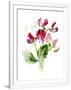 Gramercy White