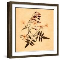 Jasmine-Graeme Harris-Framed Giclee Print