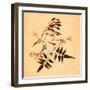 Jasmine-Graeme Harris-Framed Giclee Print