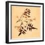 Jasmine-Graeme Harris-Framed Giclee Print