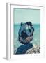 Jasmund National Park, coast, sea, beach, stones,-Mandy Stegen-Framed Photographic Print