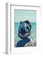 Jasmund National Park, coast, sea, beach, stones,-Mandy Stegen-Framed Photographic Print