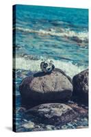 Jasmund National Park, coast, sea, beach, stones,-Mandy Stegen-Stretched Canvas