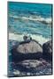 Jasmund National Park, coast, sea, beach, stones,-Mandy Stegen-Mounted Photographic Print