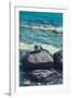 Jasmund National Park, coast, sea, beach, stones,-Mandy Stegen-Framed Photographic Print