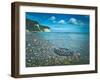 Jasmund National Park, sea, coast, car tyre on the beach-Mandy Stegen-Framed Photographic Print