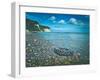 Jasmund National Park, sea, coast, car tyre on the beach-Mandy Stegen-Framed Photographic Print