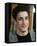 Jason Biggs-null-Framed Stretched Canvas