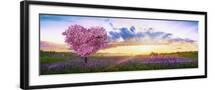 Black Frame