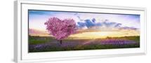 White Frame