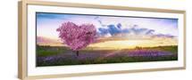 Brown Frame