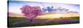 Stretched Canvas