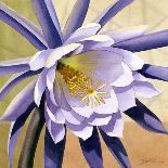 Desert Bloom II-Jason Higby-Art Print