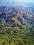 Rolling Hills in Southland Region of New Zealand-Jason Hosking-Stretched Canvas