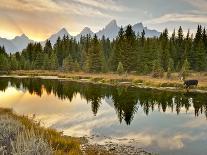 Evening Swim-Jason J. Hatfield-Laminated Photographic Print