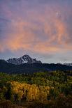 A Bison on the Antelope Flats of Grand Teton National Park, Wyoming-Jason J. Hatfield-Photographic Print