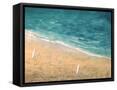 Framed Canvas