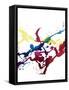 Framed Canvas