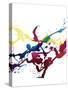 Stretched Canvas