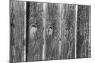 Wood Mount