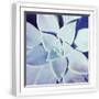 White Frame