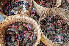 Hand-made silk lanterns for sale on the street in Hoi An, Quang Nam Province, Vietnam-Jason Langley-Photographic Print