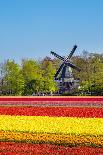Netherlands, North Holland, Haarlem. Windmill De Adriaan on the Spaarne River.-Jason Langley-Photographic Print